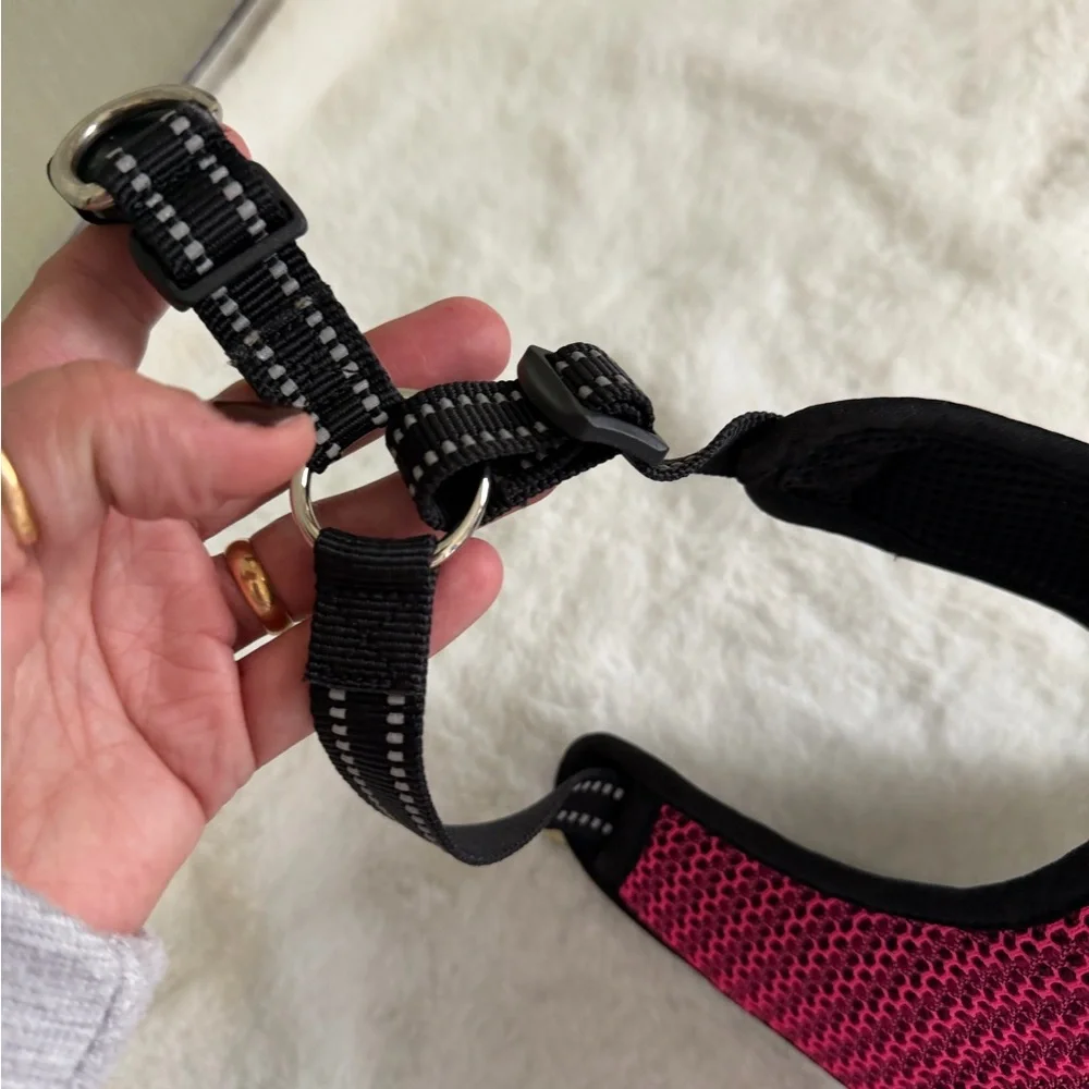 Voyager Pink Dog Harness